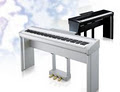 Austral Piano World image 2