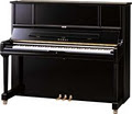 Austral Piano World image 3