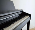 Austral Piano World image 6