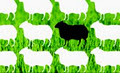 Black Sheep logo