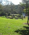 Blackbutt Reserve image 3