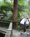 Blackbutt Reserve image 6