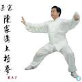 Chen Taiji (Tai Chi) Training Institute logo