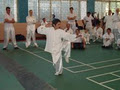 Choy Lee Fut Kung Fu image 4