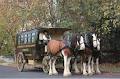 Clydesdales Horse Drawn Restaurant logo