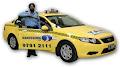 Dandenong Taxis logo