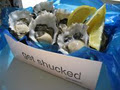 Get Shucked logo