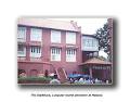 Holland Focus Pty Ltd image 1