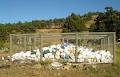 Huon Valley Health Centre image 6