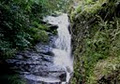 Macquarie Pass National Park image 5