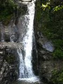 Macquarie Pass National Park logo