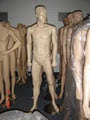 Mannequin Revolution image 2