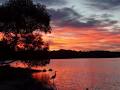 Maroochy River Motel image 3