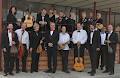 Melbourne Mandolin Orchestra image 3