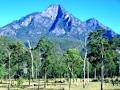 Mount Barney National Park logo