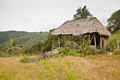 Movle Location on Mount Tamborine, Queensland, Australia image 3