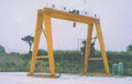 Newpas Industrial Hoist image 5
