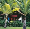 Palm Bungalows logo