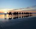 Red Sun Camels Booking Office image 3