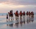 Red Sun Camels Booking Office image 4