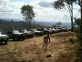 Scenic Rim Adventure Park image 3