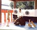 Seishinkan Iaido image 1