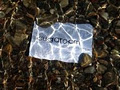 Sugaroom logo