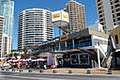 Surfers Paradise Surf Life Saving Club logo