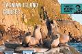 Tasman Island Cruises image 6