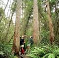 Tasman National Park image 2