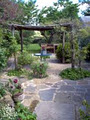 The Cherry Orchard image 1