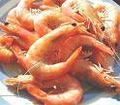 The Prawn King logo