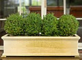 Trendcraft Garden Products image 2