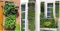 VGee Vertical Gardens & Skylights Dealers image 3