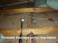 A Building & Pest Inspection image 5