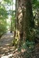 Barrington Wilderness Cottages image 3