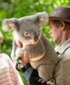 Bungalow Bay Koala Village image 4