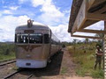 Cairns Kuranda Steam Train logo