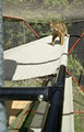 Catmax Cat Enclosures image 6