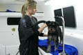 Clear Mobile Dog Grooming Brisbane image 2