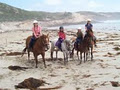 Cobboboonee Horse Riding Pty Ltd image 4