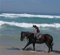 Cobboboonee Horse Riding Pty Ltd image 6