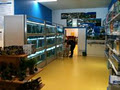 Complete Pets Pty Ltd image 3