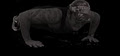 D&DFit4Life image 1