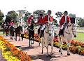 Eagle Farm Racecourse logo