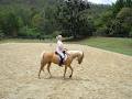 Gold Coast Horse Riding pty ltd image 2