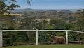 Harcourts Hinterland-Montville image 3