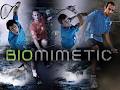 IT Tennis Squash & Badminton image 2