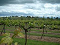 Jeir Creek Wines image 3