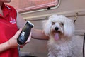 Jim's Dog Wash : Mobile Dog Washing & Grooming image 3